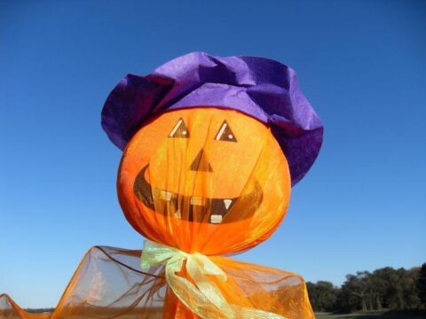 Funny Halloween Pumpkin